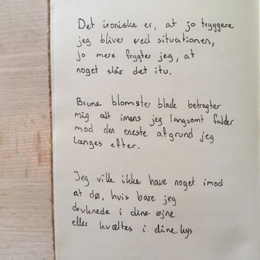 19807638_1426240754136809_311498824_o