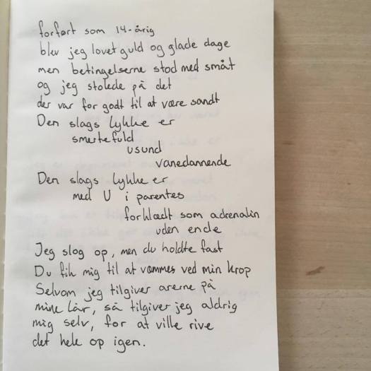 19858985_1426240797470138_164488389_o