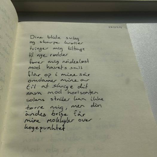 21147110_1471978942896323_1471240737_o