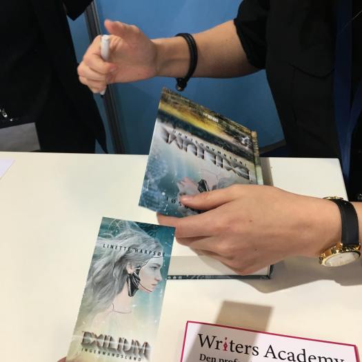 44933259_254410825272904_7315617378664972288_n